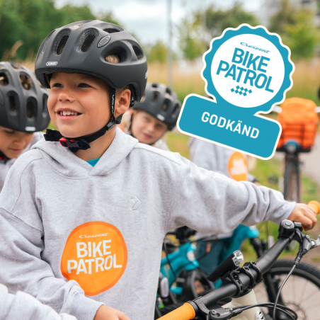 Embla Jr City 20", 3-vxl, Blå, Barncykel