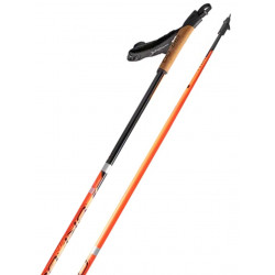 Skigo Roller 2.0