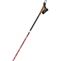 Skigo Roller 2.0 2