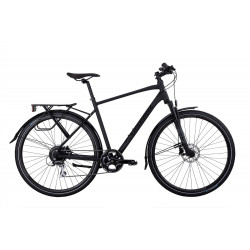 Crescent Starren, 8-vxl, 53 cm, Svart
