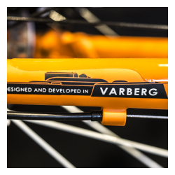 Crescent Starren, 16-vxl, 53 cm, Roströd, 2