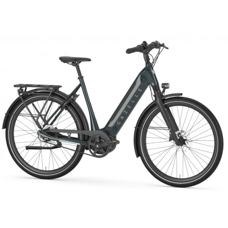 Gazelle Ultimate C8+ HMB L 53 Pine Green, Elcykel