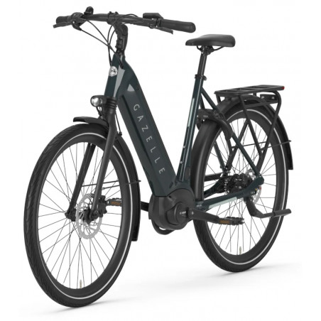 Gazelle Ultimate C8+ HMB L 53 Pine Green, Elcykel