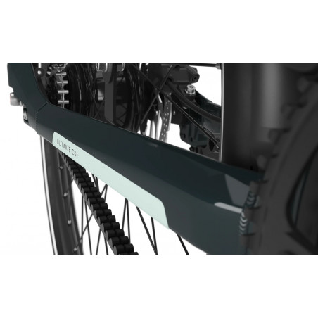 Gazelle Ultimate C8+ HMB L 53 Pine Green, Elcykel