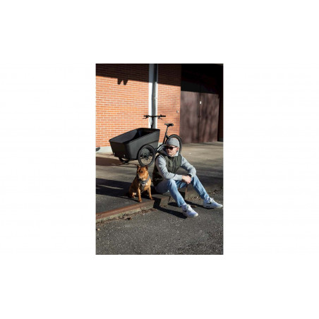 Centurion E-Street Cargo, Svart, 22, 2024, Lådcykel