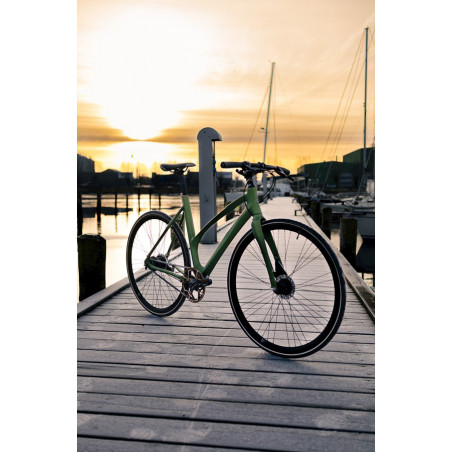 Avenue Broadway, Dam 50 cm, Matt Grön, 2024, Citybike