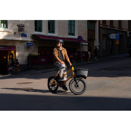 Atran Velo, Regnskydd Rainy, M