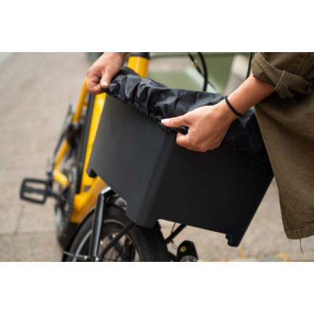 Atran Velo, Regnskydd Rainy, L