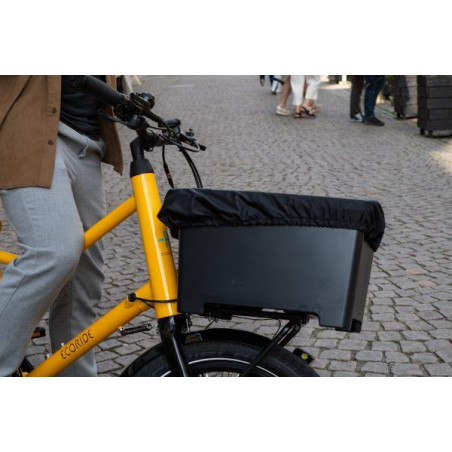 Atran Velo, Regnskydd Rainy, L