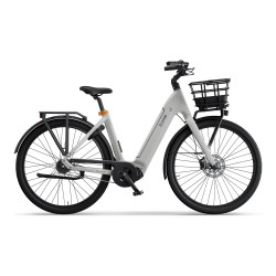 Ecoride Ambassador 4  Vit matt mittmotor