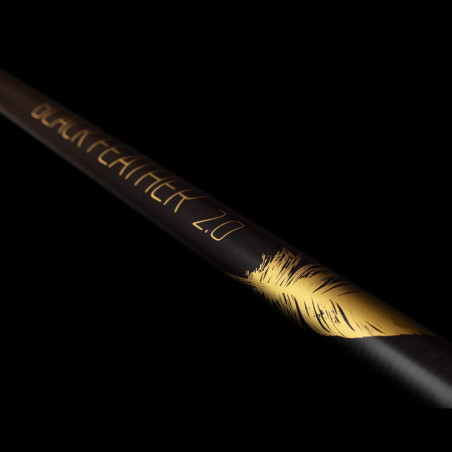 Exel BlackFeather 2,0, Black/Gold, Skidstav