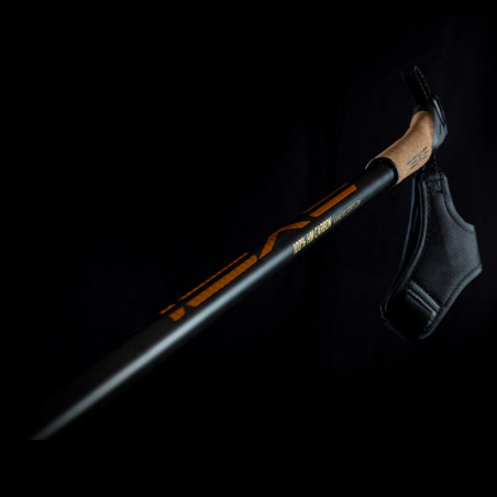 Exel BlackFeather 2,0, Black/Gold, Skidstav