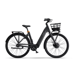 Ecoride Ambassador 4 Front Svart Large ram