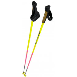 Haakon Pink Tiger, Längdskidstav