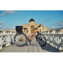 Elina, 7-vxl, 51 cm, Bordeaux