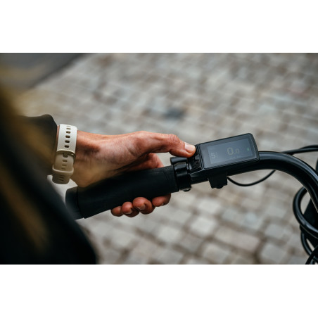 Crescent Elina, 7-vxl, 51 cm, Dusty Green, Elcykel