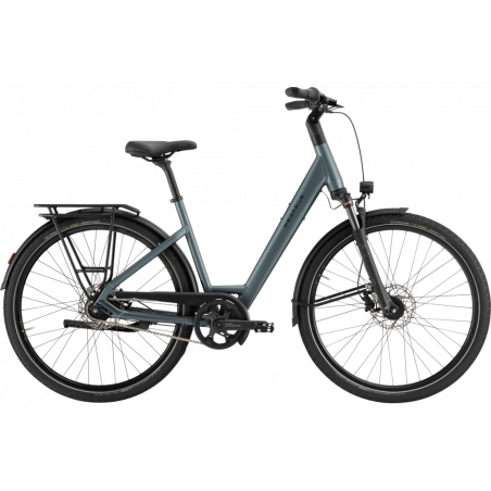 Pegasus Strong SL 8, Veridian Matt, Large, Unisex cykel
