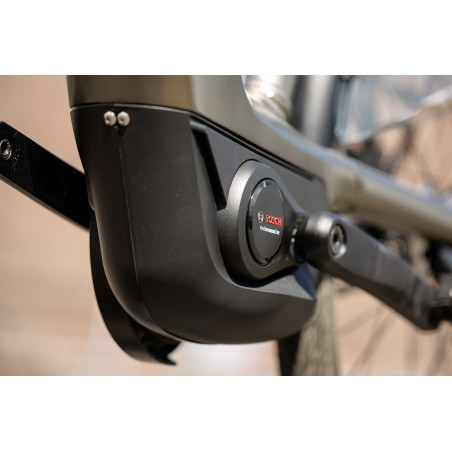 Pegasus Ravenna Evo 7F Belt, Monza Grey Matt, 55 cm, Elcykel