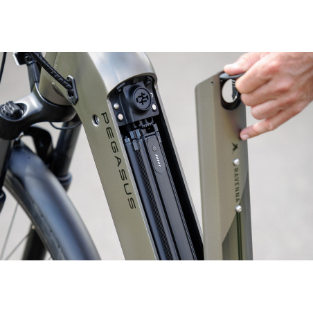 Pegasus Ravenna Evo 7F Belt, Monza Grey Matt, 55 cm, Elcykel