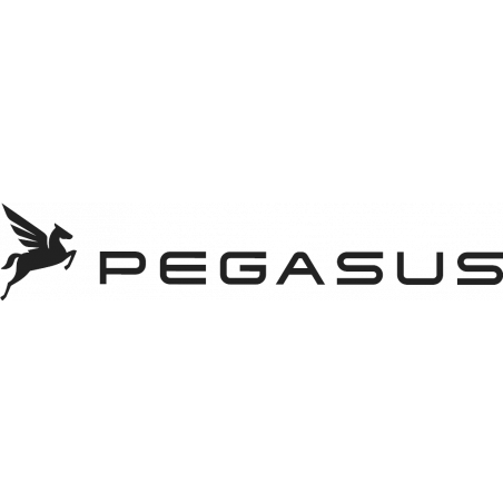 Pegasus