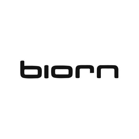 Biorn of Sweden